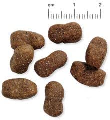 Belcando Adult GF Beef Cibo secco per cani adulti senza cereali con manzo