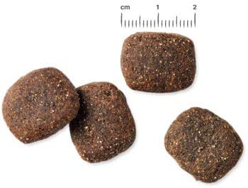 Belcando Adult GF Ocean Cibo secco per cani senza cereali con pesce