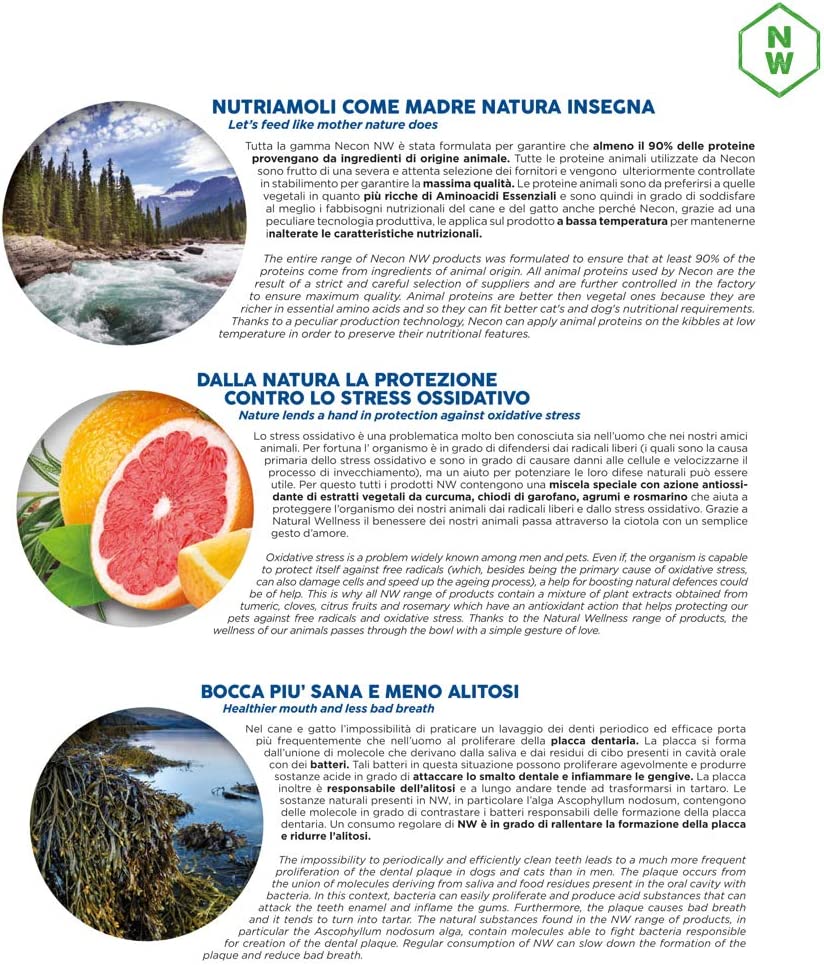 Necon Pet Food Natural Wellness Adulto Salmone & Riso 400 G