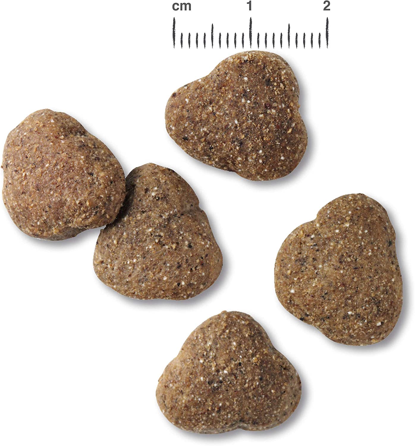 Belcando Junior Lamb & Rice Alimento completo per cani giovani di almeno 4 mesi