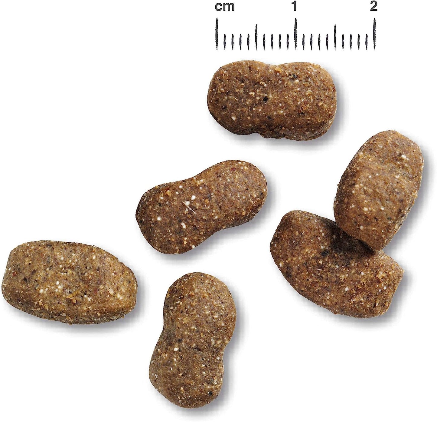 Belcando Adult Iberico & Rice Alimento completo per cani adulti di tutte le razze di almeno 1 anno
