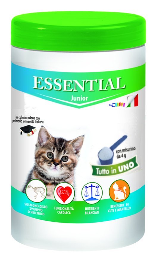 Essential Gatto junior