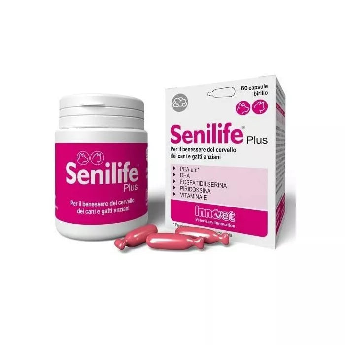 Innovet Senilife Plus 60 Capsule Birillo Monodose